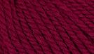 pure laine anemone violet pourpre